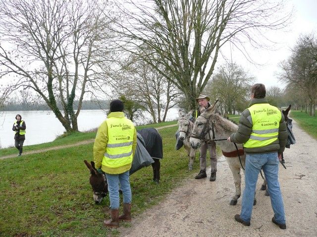 Loire propre 2014 (17).jpg